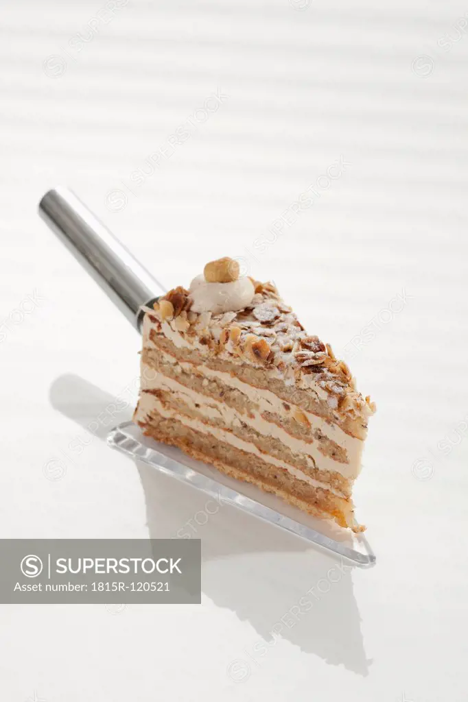 Slice of Noisette Cake on cake server, close up