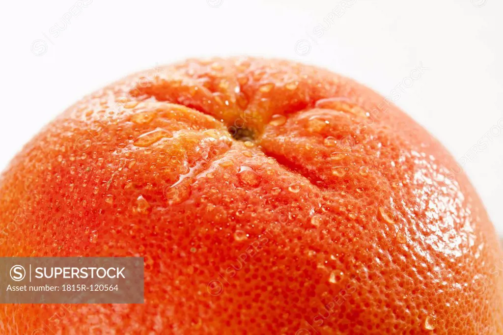 Grapefruit against white background, close up
