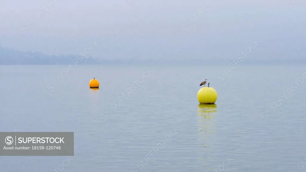 Switzerland, Lachen, Buoy with seagull