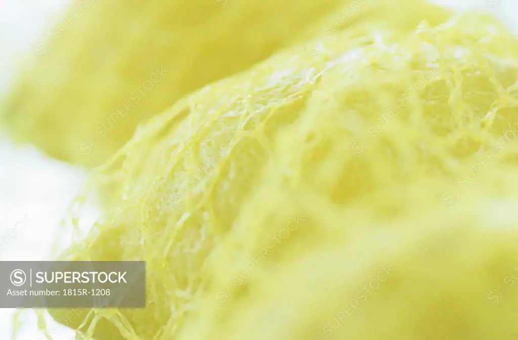 Lemons in net sack, close up
