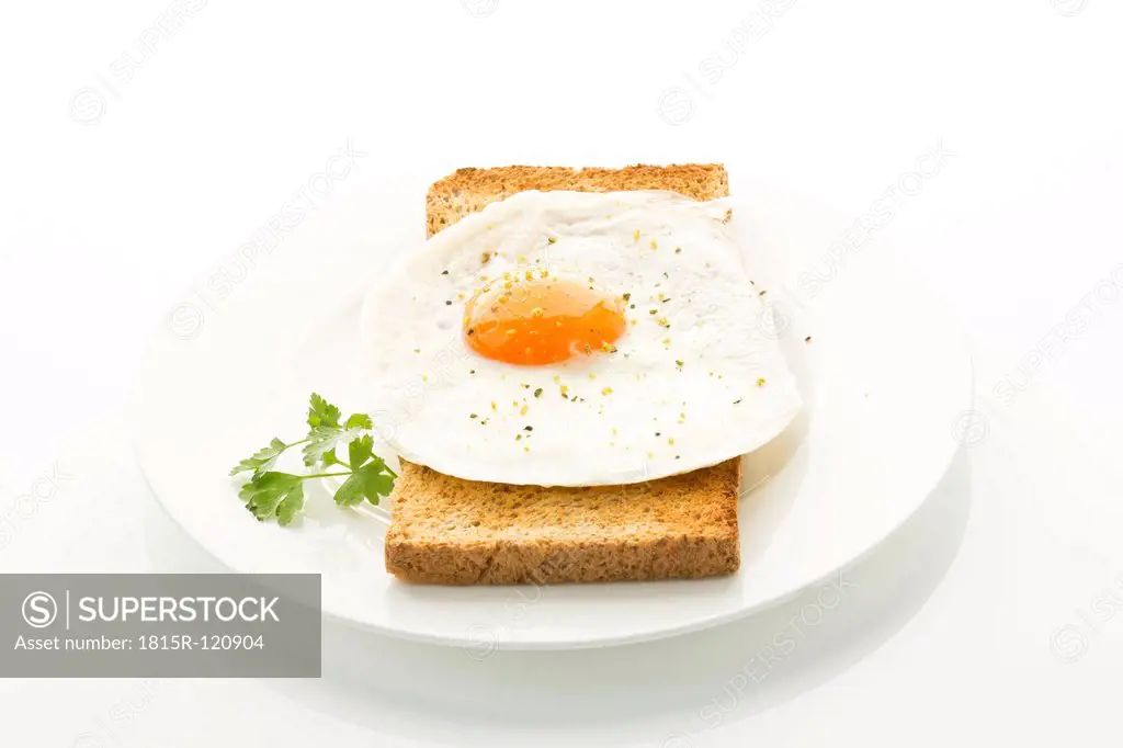 Toasted bread with fried egg on plate