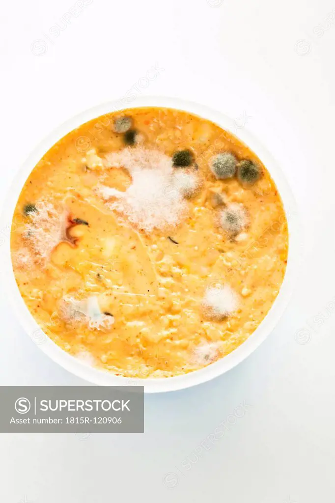 Bowl of mould cheese on white background, close up