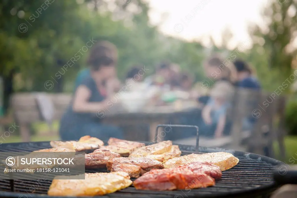 Germany, Berlin, Barbecue grill in garden