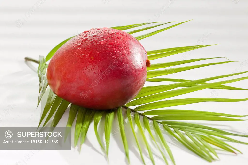 Mango with palm leaf on white background, close up