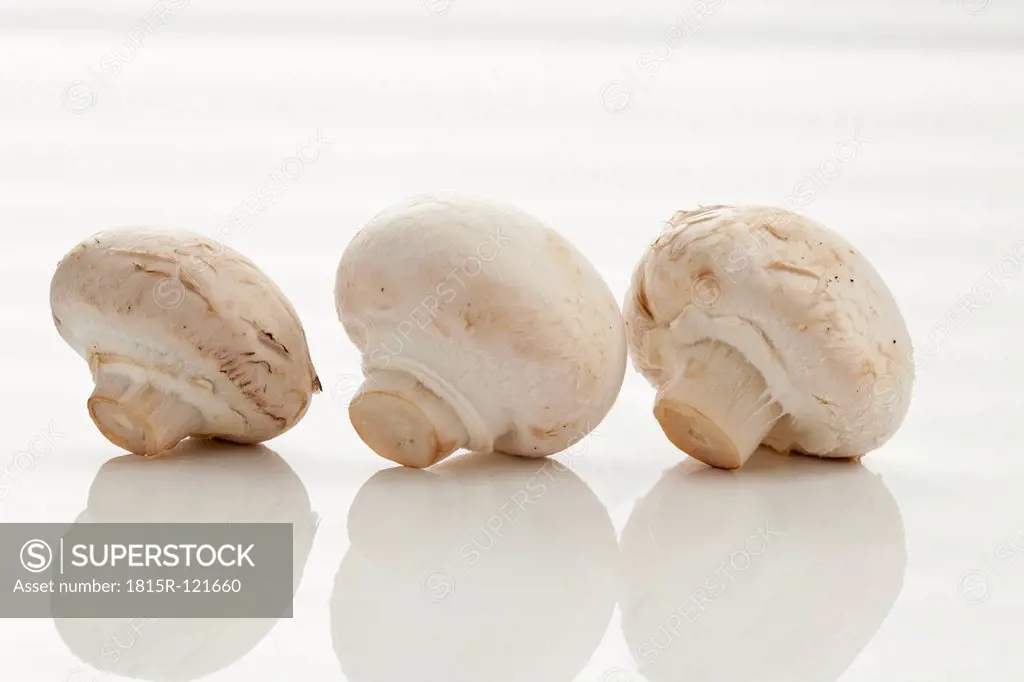 Row of mushrooms on white background, close up