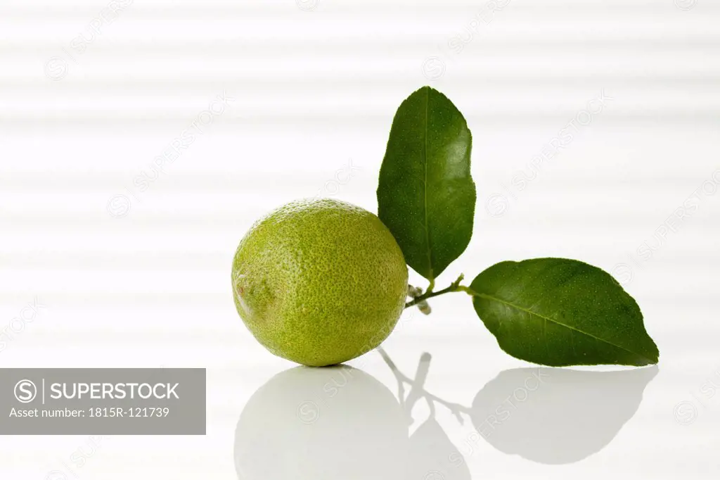 Lemon on white background, close up