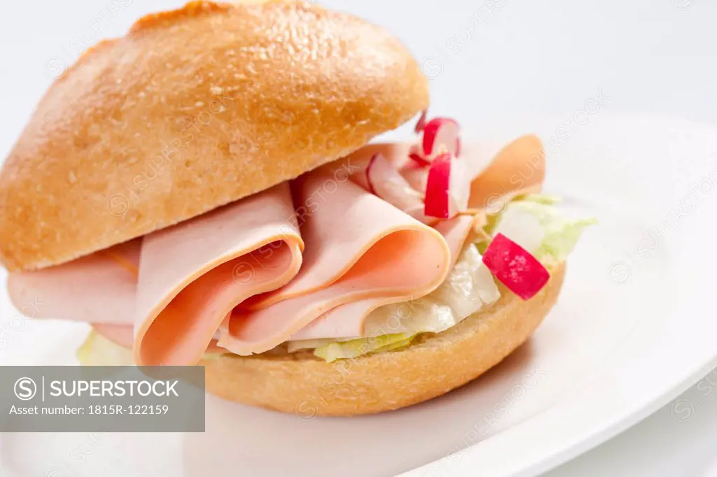 Sandwich of bread roll with poultry and mortadella on plate, close up