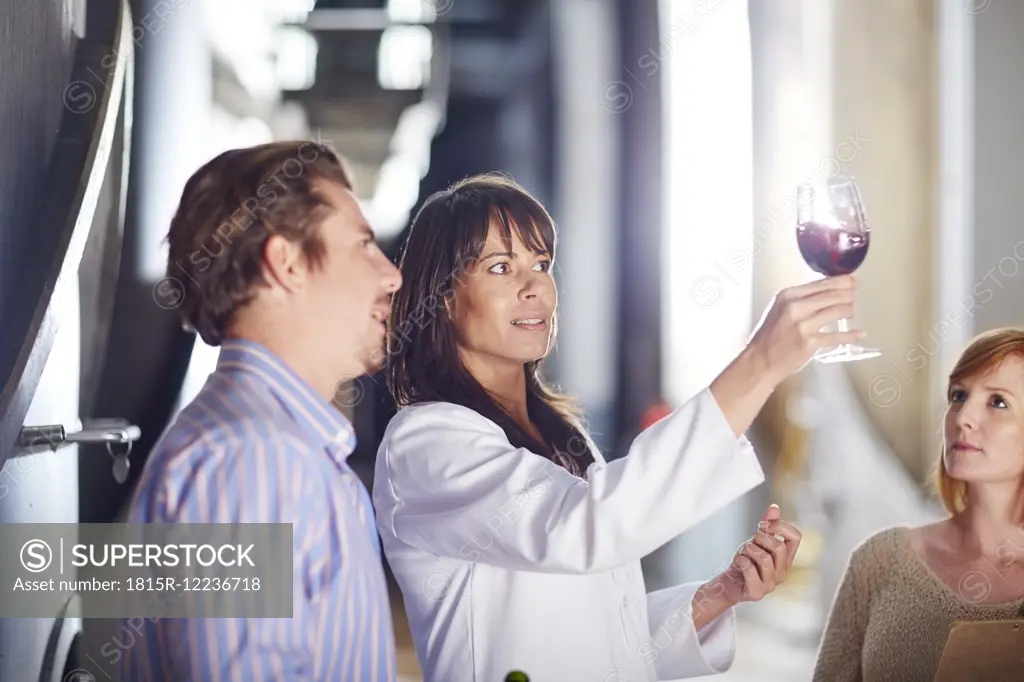 Man and two women examining red wine