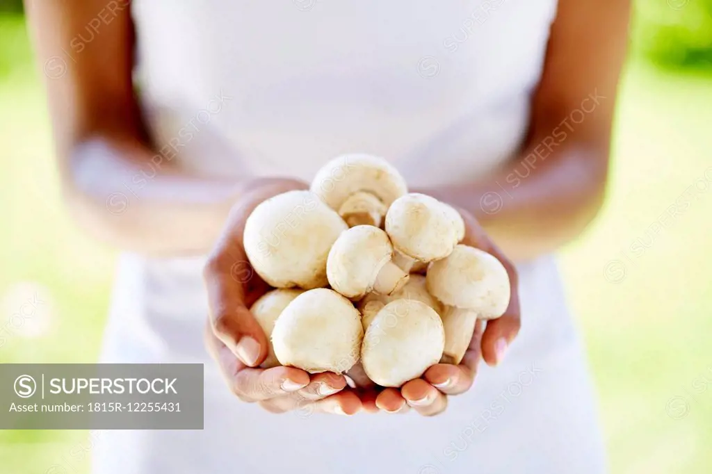 Woman's hands holding mushrooms