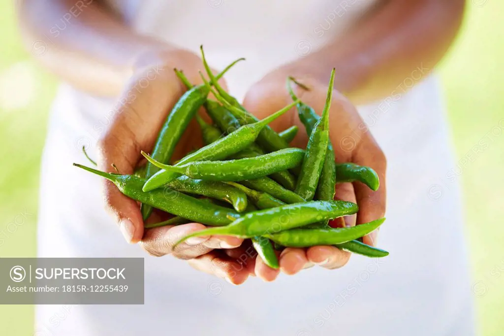 Woman's hands holding green chili peppers