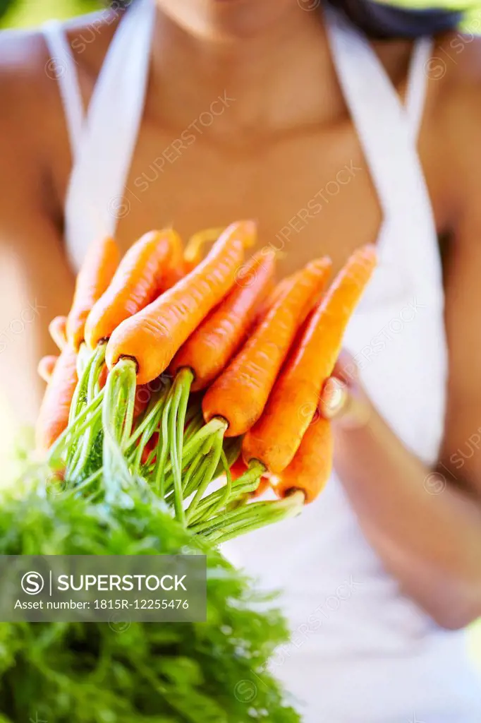 Woman's hands holding bunch of carrots