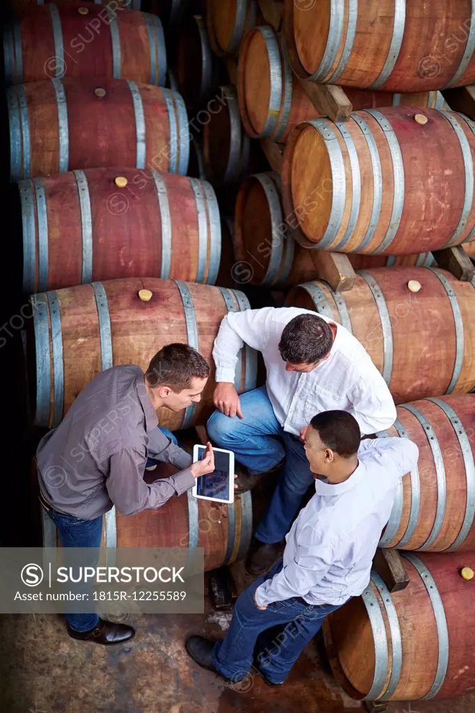 Wine makers tasting wine in wine cellar