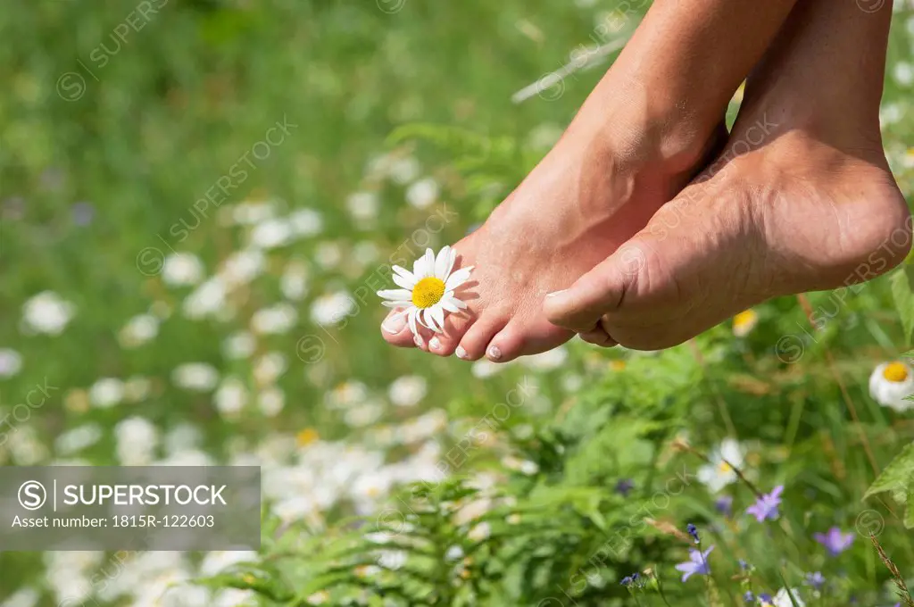 Austria, Altenmarkt-Zauchensee, Mid adult woman holding flower between toes