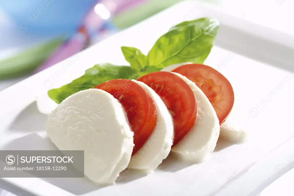 Mozzarella cheese with tomatoes and basil, close-up