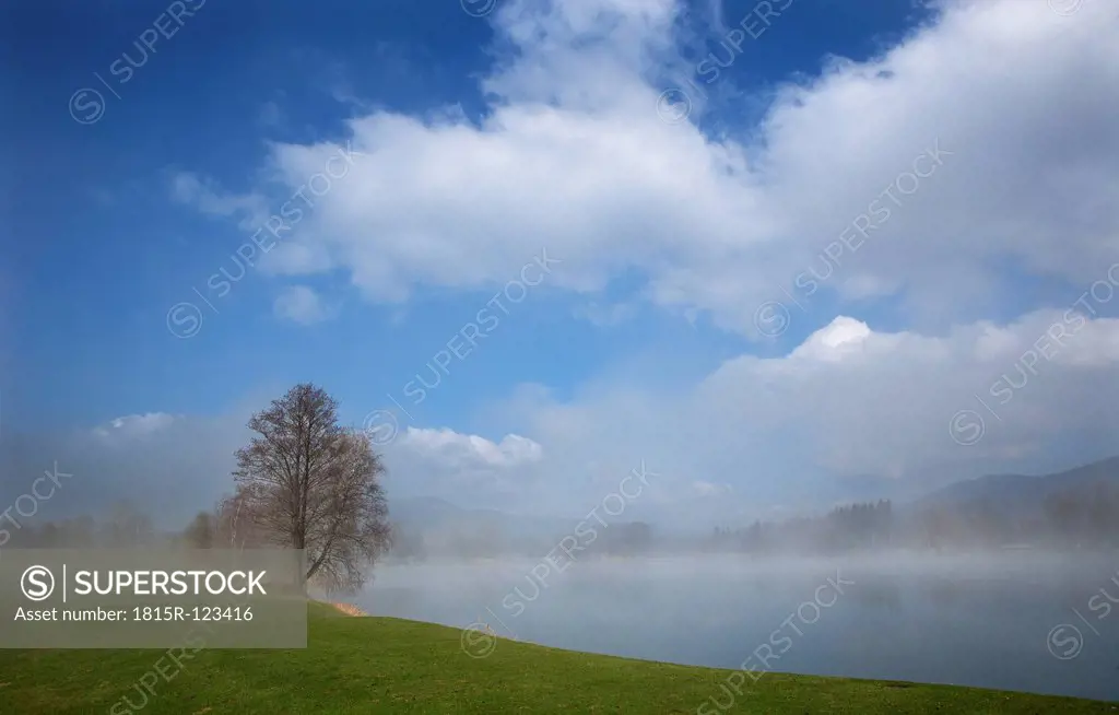 Austria, View of trees in morning fog at Mondsee Lake