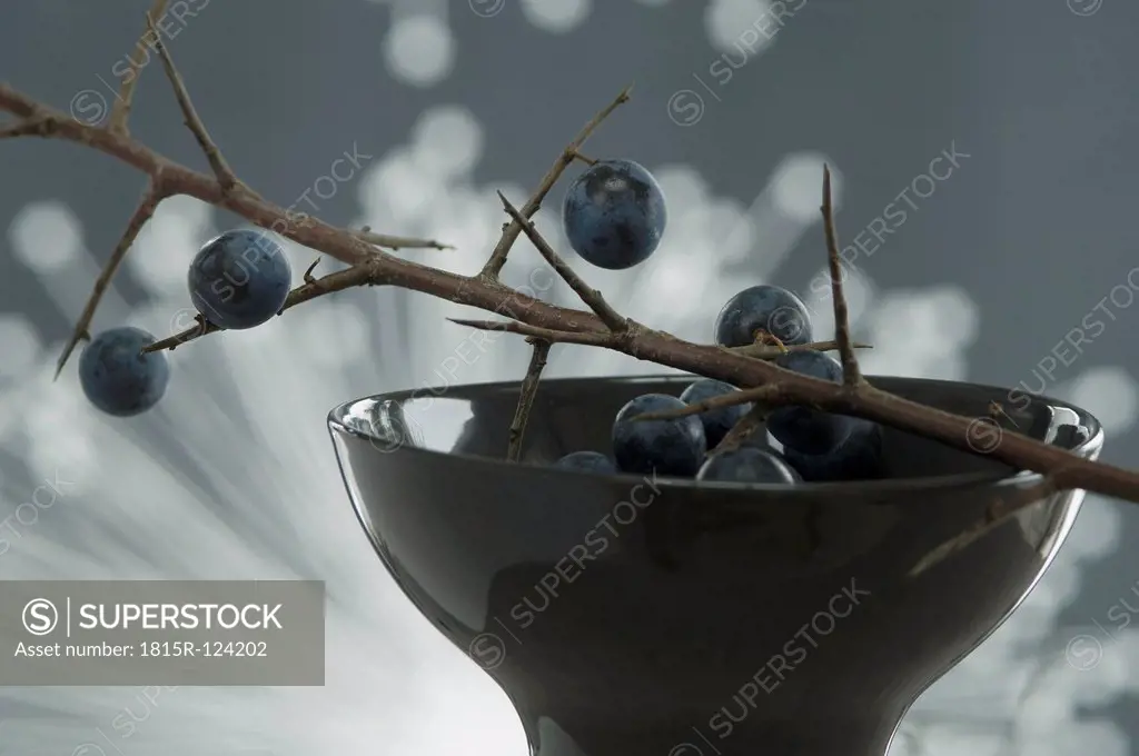 Blackthorn in bowl and fibre optic in background, close up