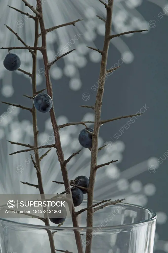 Blackthorn in glass with fibre optic in background in background, close up