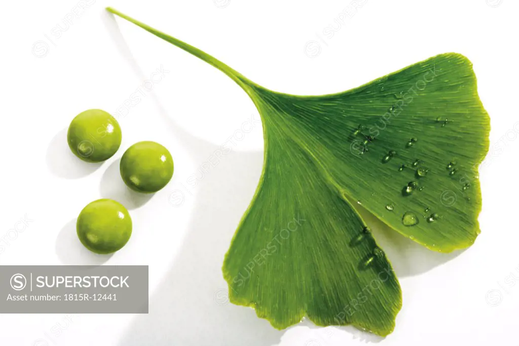 Ginko leaves and tablets