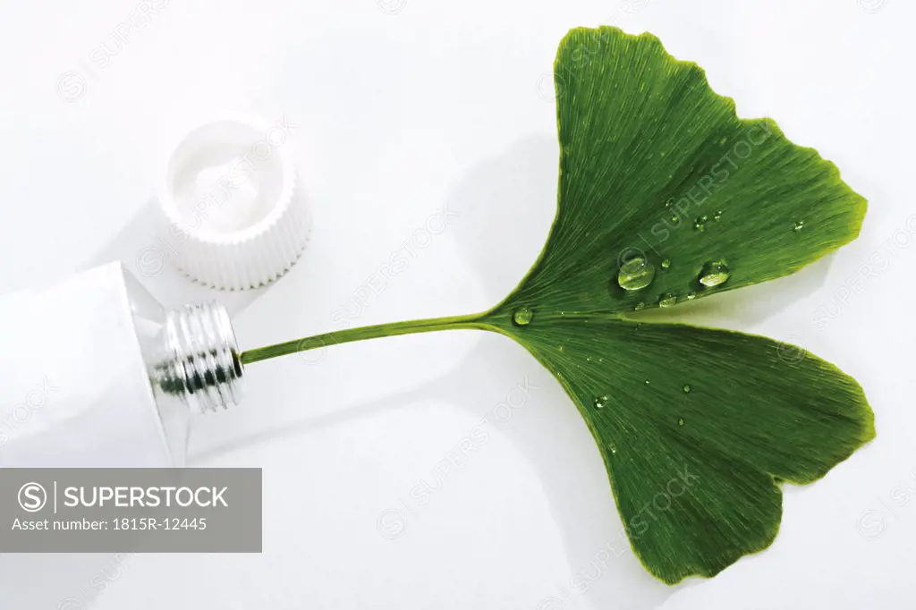 Ginko leaf in tube