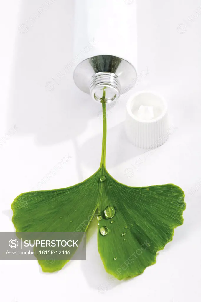Ginkgo leaf in tube, elevated view, close-up
