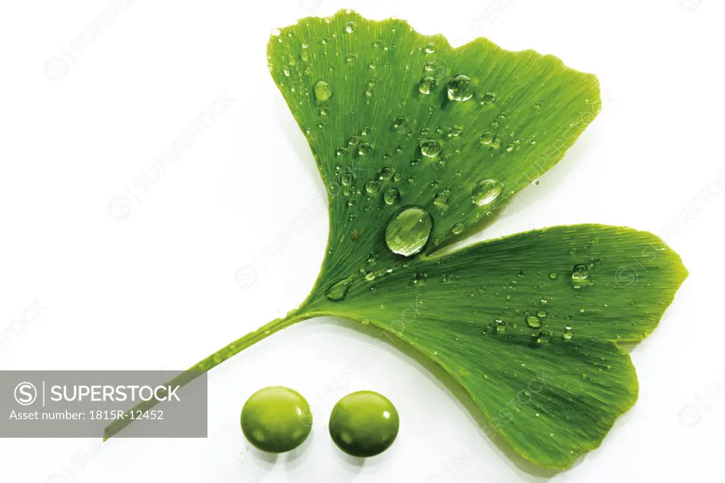 Ginkgo leaf and pills, close-up