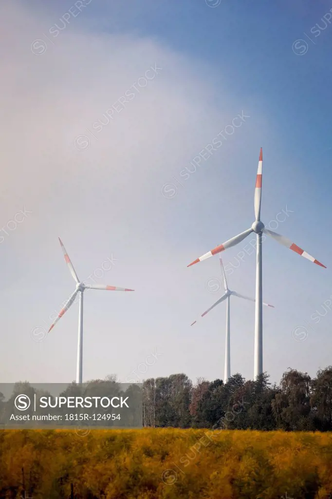 Germany, View of wind power plant in cornfield near Sassenberg