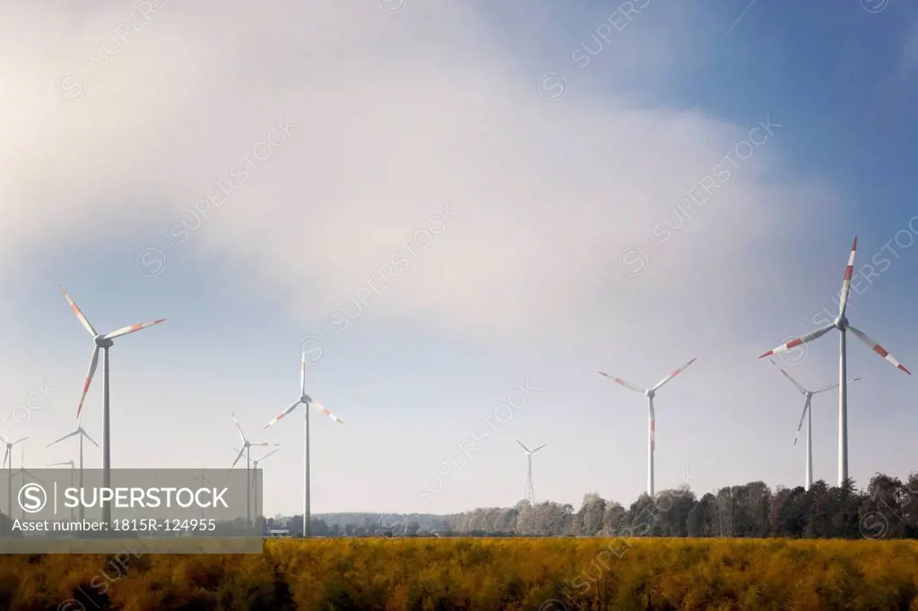 Germany, View of wind power plant in cornfield near Sassenberg