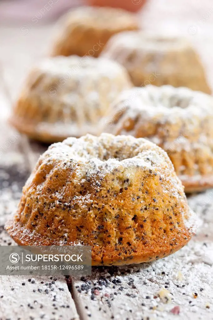 Mini Gugelhupf with poppy seed sprinkled with icing sugar