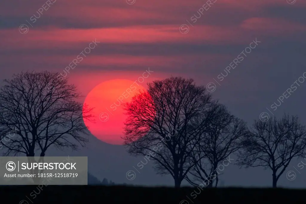 Germany, Bavaria, sunset, evening sun and trees