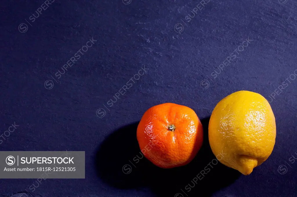 Tangerine and lemon on dark ground