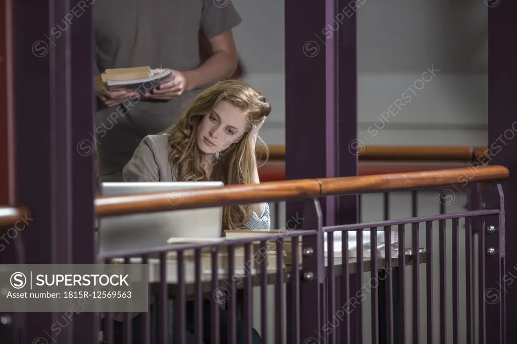 Female student sitting in library looking at laptop