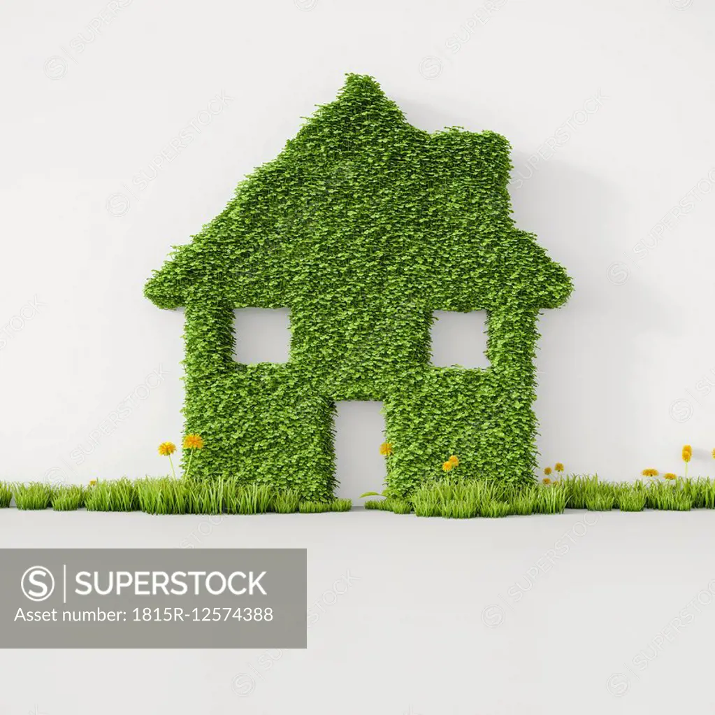 3D Rendering, House from grass on wall, copy space