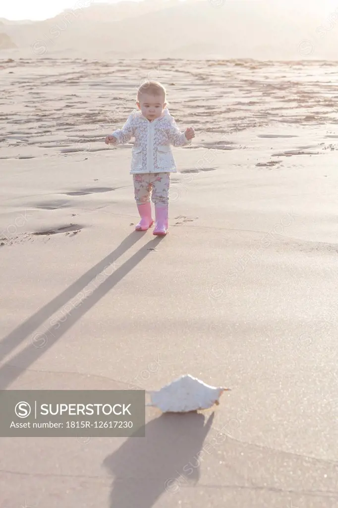 Baby girl standing on the beach looking at a shell