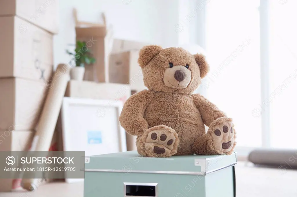 Teddy bear sitting on box in front of piled cardboard boxes