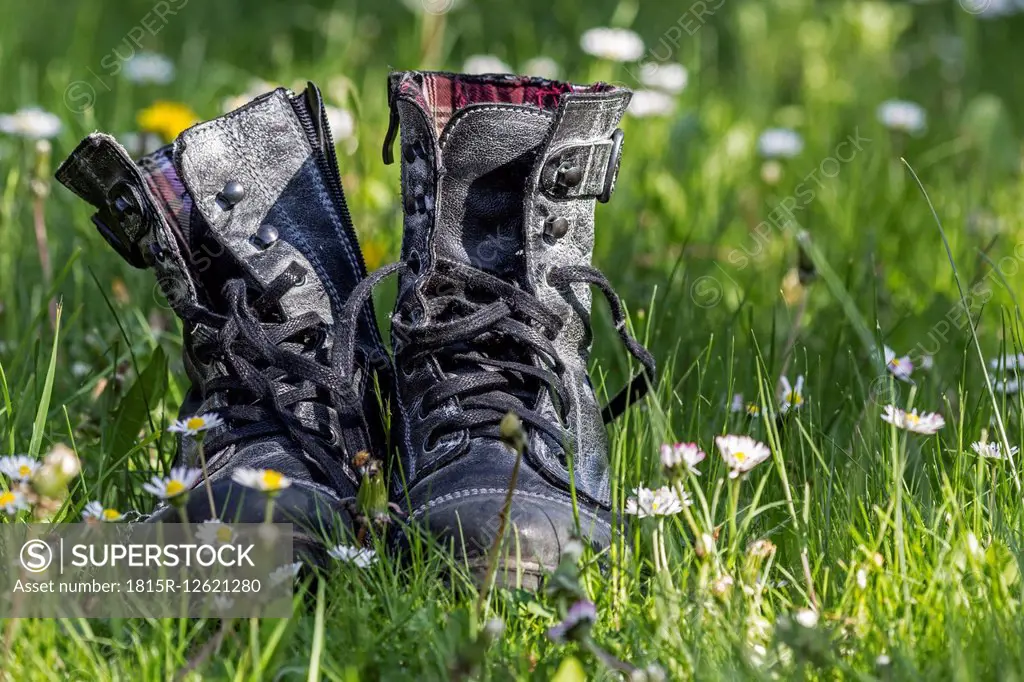 Pair of boots standing on a meadow