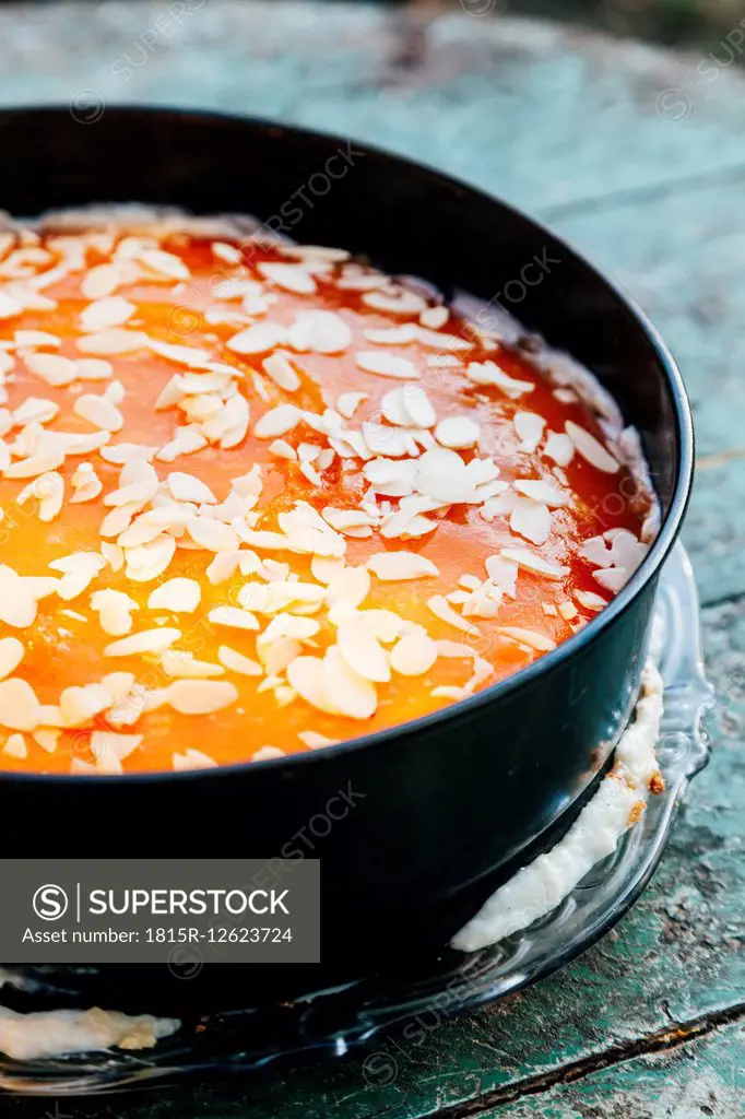Homemade cake with gelatin apricot glaze sprinkled with sliced almonds