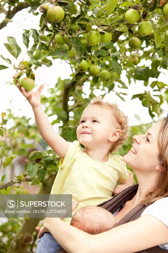 Little girl picking an apple from tree with mothers help