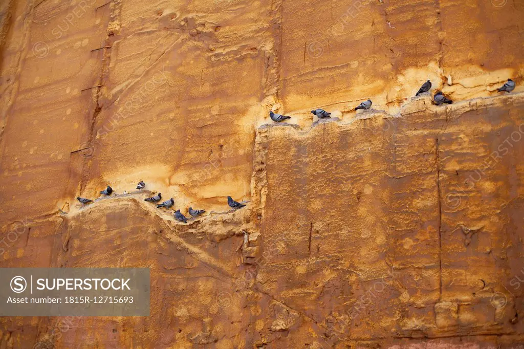 Spain, Barcelona, pigeons perching at rock face