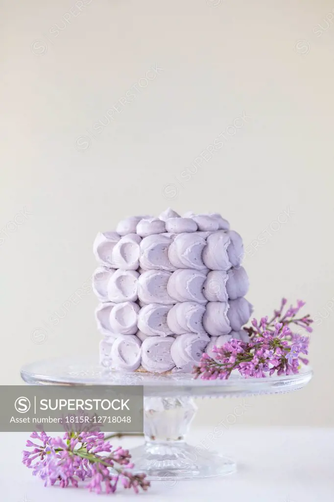 Fancy cake coated with purple meringues and blossoms of lilac on cake stand