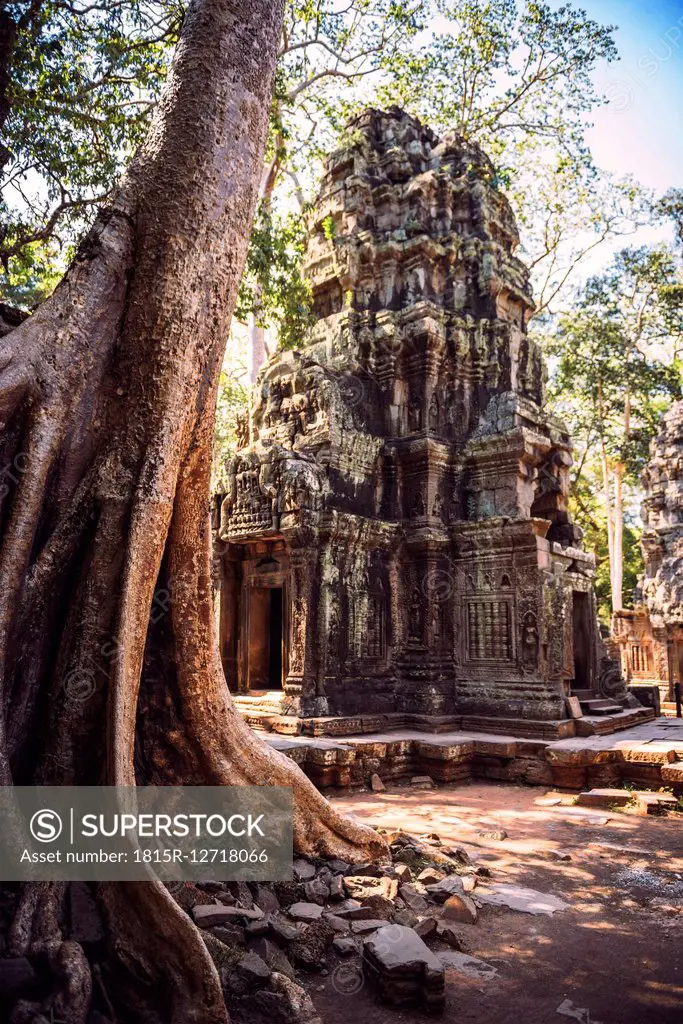Cambodia, Ruin of Temple in Angkor Thom