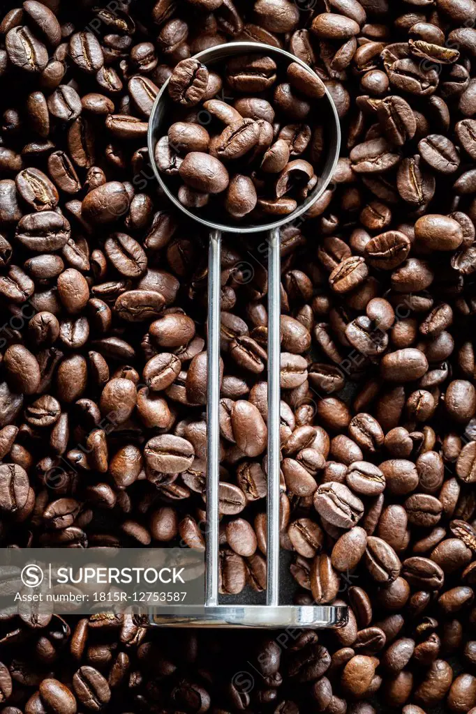 Coffee beans and a coffee spoon
