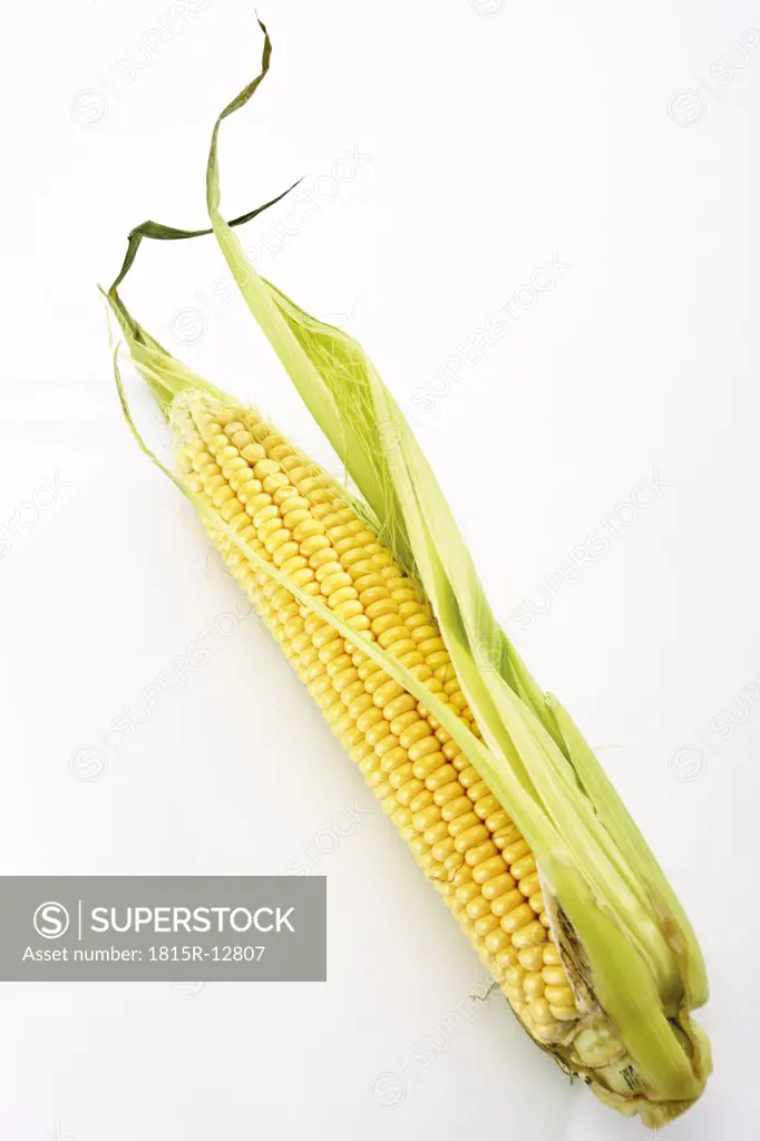 Fresh corncob