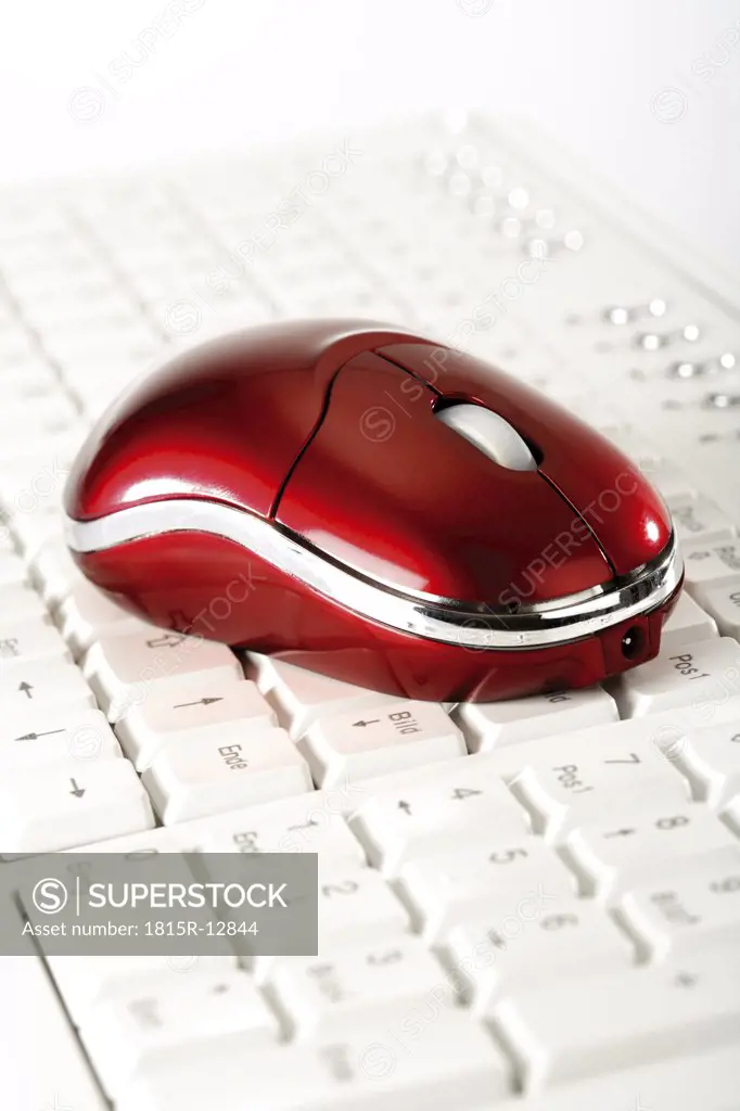 Mouse on keyboard, close-up