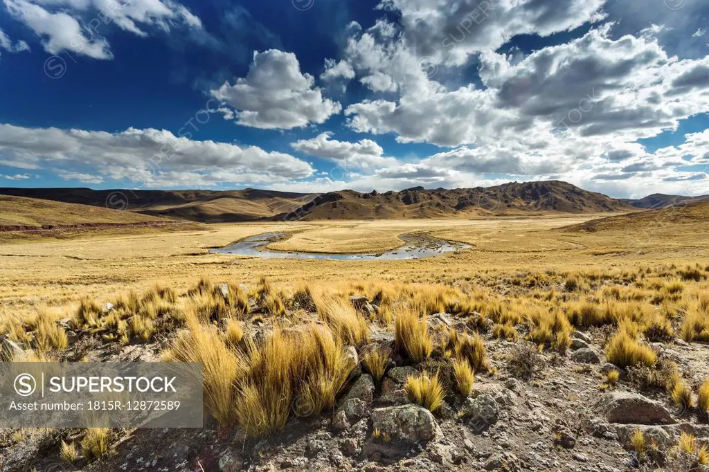 Peru, Arequipa, Altiplano, Pasto Grande