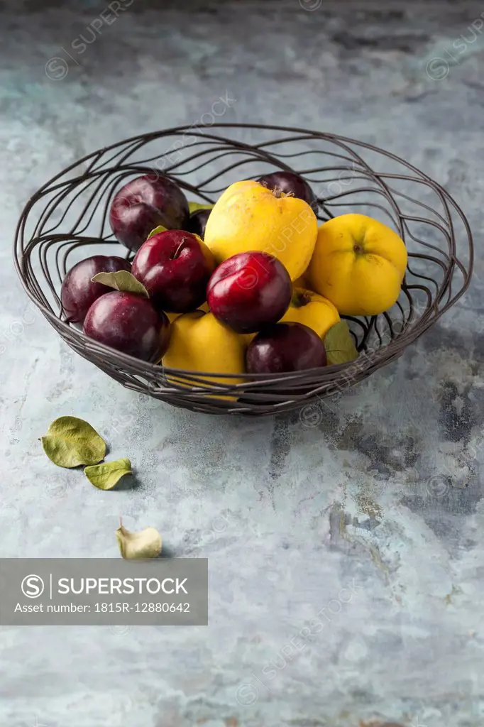 Quinces and plums in basket