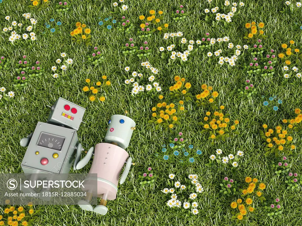 Male and female robot lying in flower meadow, 3D rendering