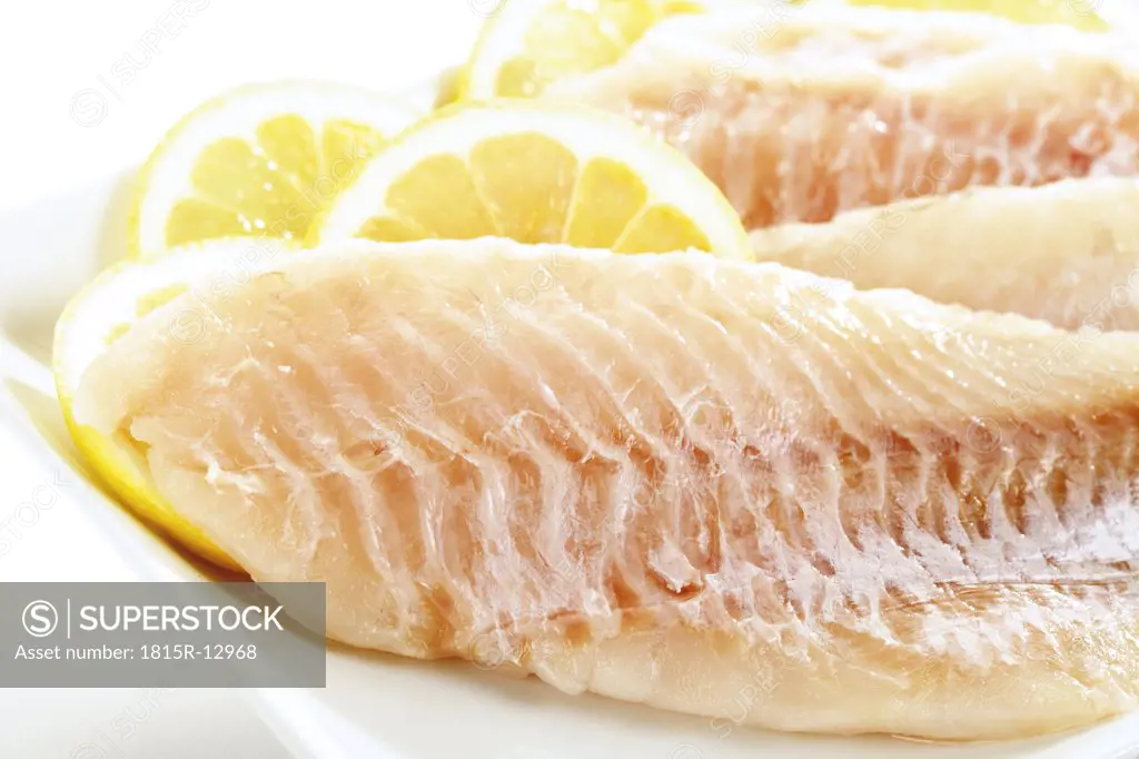 Filets of redfish, uncooked