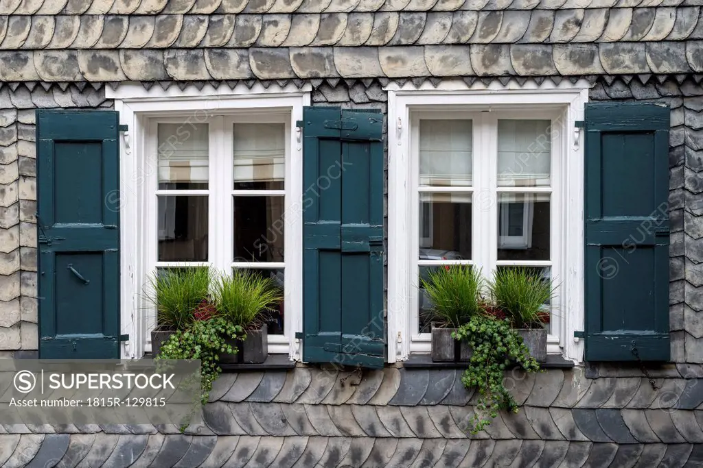 Germany, North Rhine Westphalia, Essen Kettwig,Potted plant on window sill