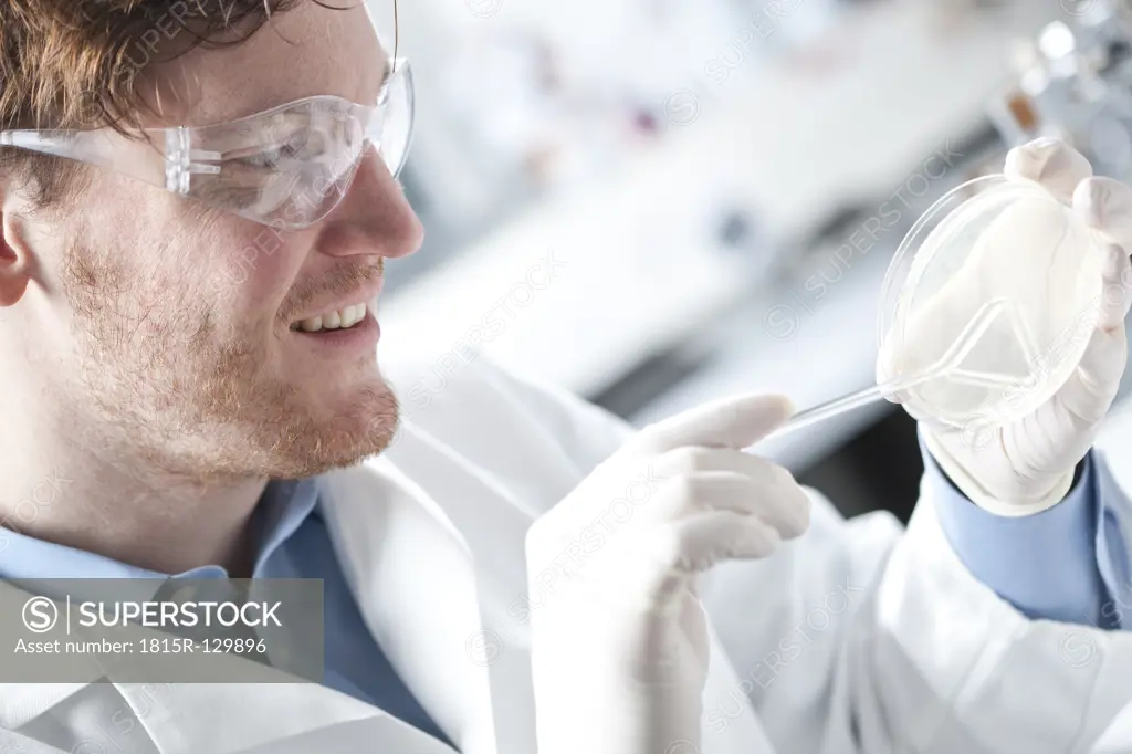Germany, Young scientist examining bacteria in petri desh