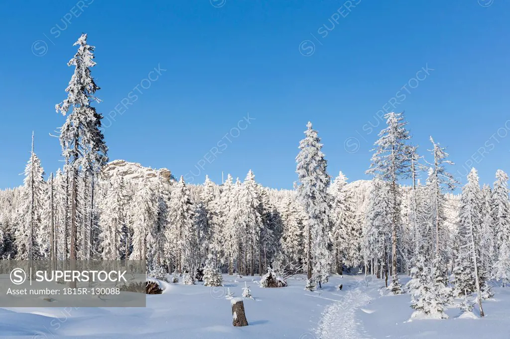 Germany, Bavaria, Track to mountain Grosser Arber at Bavarian Forest